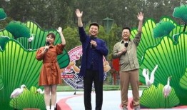 汉中小三爆料事件视频最新,真相与争议交织的舆论漩涡