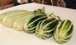 网爆网红吃瓜图片,揭秘娱乐圈幕后真相